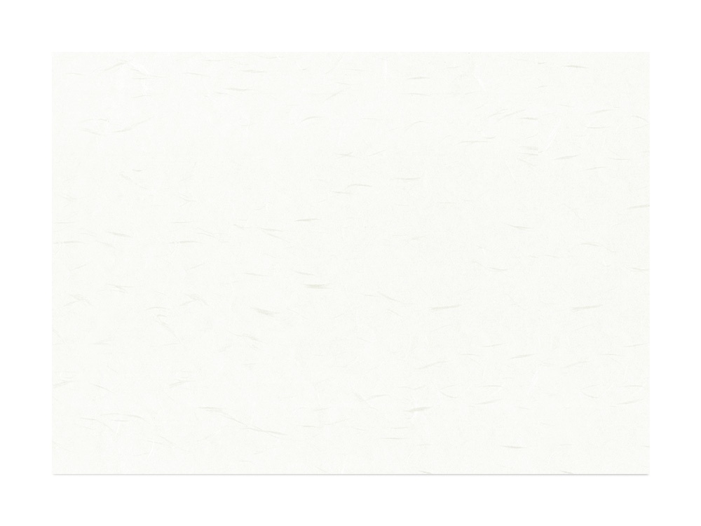 コピー和紙 大礼 B4 ホワイト画像