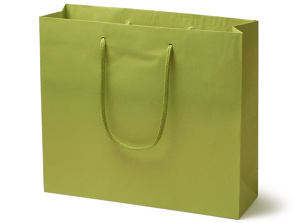 紙製手提袋 カラーCB 3才 ヒワ【包】画像