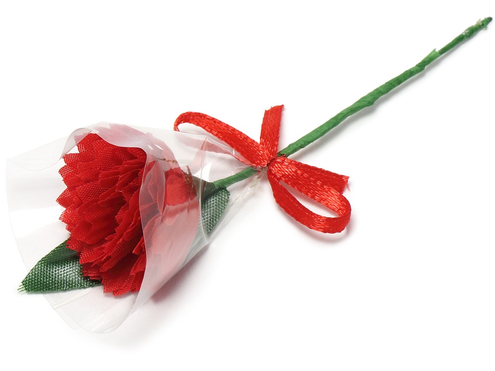 ミニ造花 カーネーション 赤 フィルム付画像