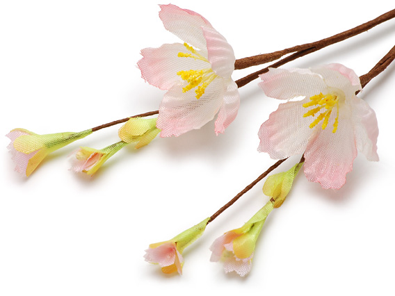 うららかな春を彩る桜のミニ造花 ネットストア情報 トピックス 京の老舗御用達の折箱 京朱雀道具町 勝藤屋